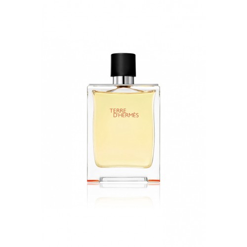 Hermes Terre DHermes Edt 100 ML Erkek Parfüm Outlet