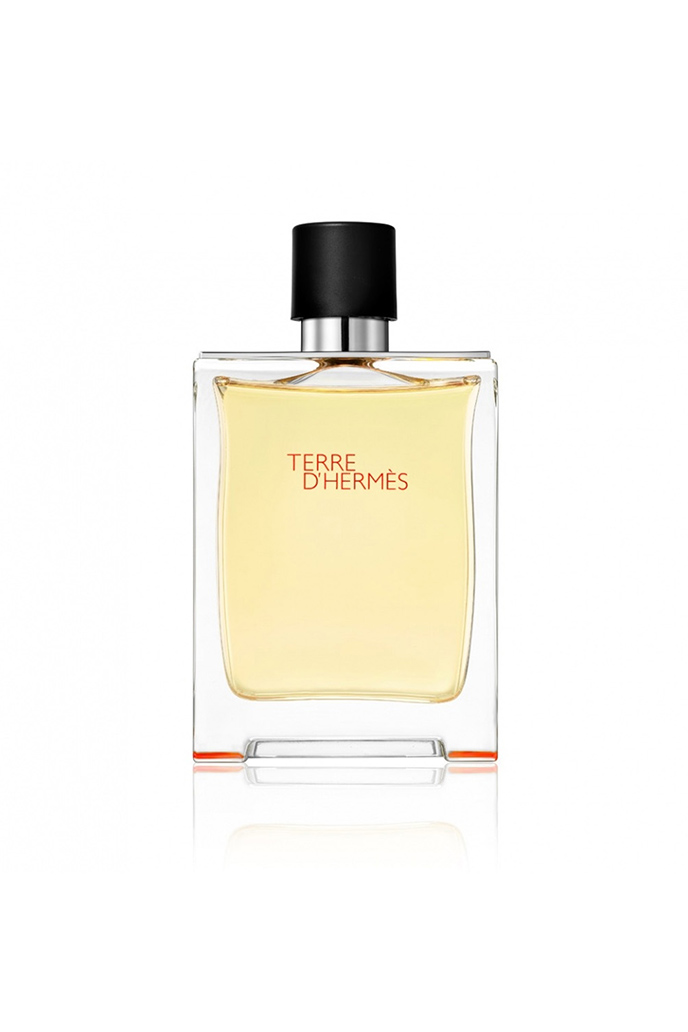 Hermes Terre D'Hermes Edt 100 ML Erkek Parfüm Outlet